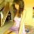 estele