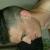 Maxence86