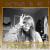 theblondasse19